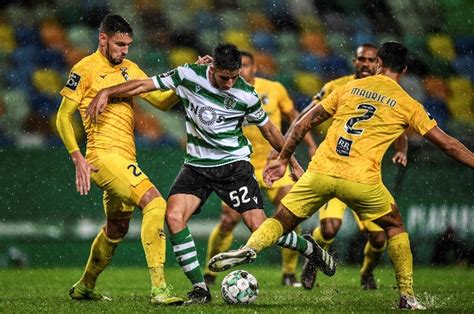 Sporting CP Vs Portimonense Predictions Tips Live Stream