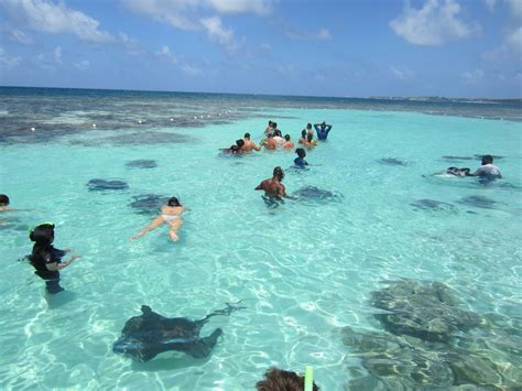 Stingray City Antigua | Dickenson Bay Cottages