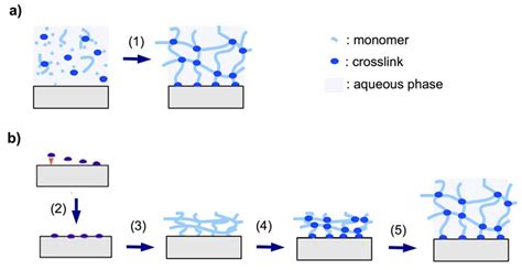 Membranes Free Full Text Thin Hydrogel Films For Optical Biosensor Applications