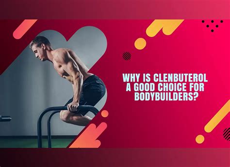 Clenbuterol For Bodybuilding Cutting Down On Fat While Maintaining