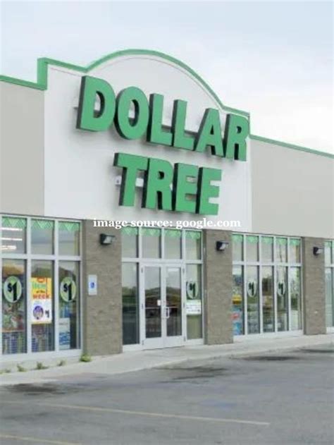 11 Grocery Items You Should Always Buy At Dollar Tree StatAnalytica