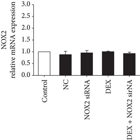 Nox1 And Nox4 Are Involved In Dex Induced Ros Production A C Pcr Download Scientific Diagram