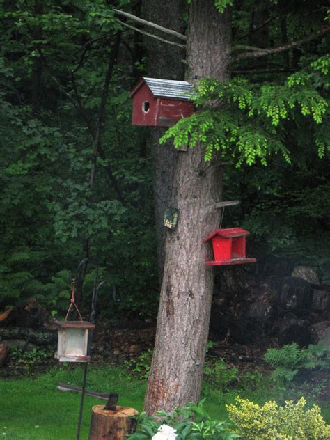 Bird Feeders - New England