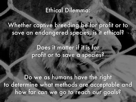 The Ethics Behind Captive Breeding by Sarah Harris