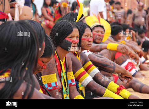 Brazilian Indigenous Women In Native Hi Res Stock Photography And