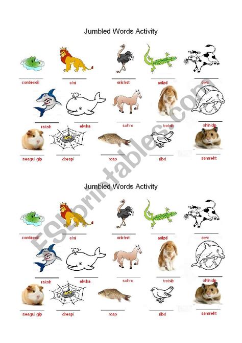 Animals Jumbled Words Activity Esl Worksheet By Sally333