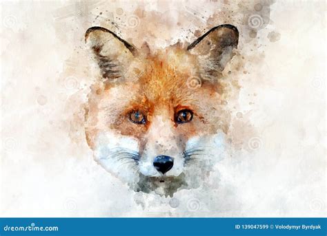 Red Fox - Watercolor Illustration Portrait Stock Illustration ...