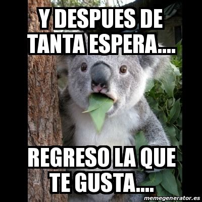 Meme Koala Y Despues De Tanta Espera Regreso La Que Te Gusta