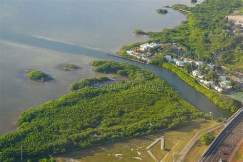 Aerial view of tampa bay stock image. Image of life - 135958861