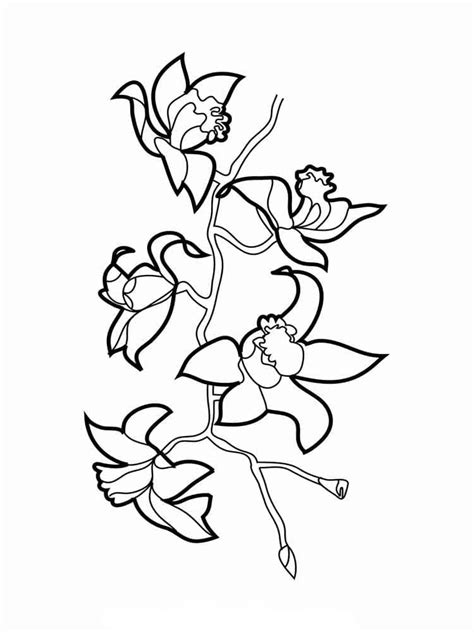 Coloriage Orchid E T L Charger Et Imprimer Gratuit Sur