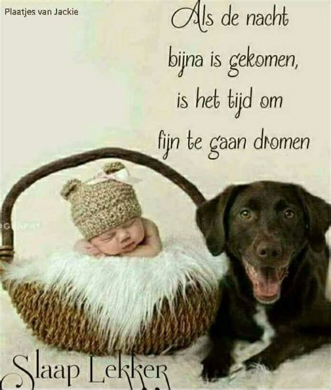 Slaap lekker. ( Plaatjes van Jackie ) | Slaap lekker, Goede nacht ... 