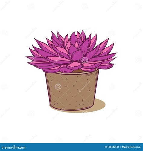 Succulent Plant In Concrete Pot Hand Drawn Vector Illustration For