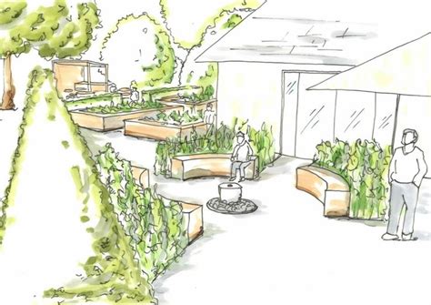 West View Across Proposed Outdoor Teaching Area Landscape Design