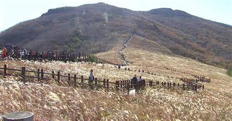 울산 울산 서부권 알프스 관광단지 추진