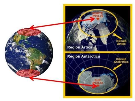 Aunque Los Polos Norte Y Sur Ambos Son Frio Son Diferente Brainly Lat