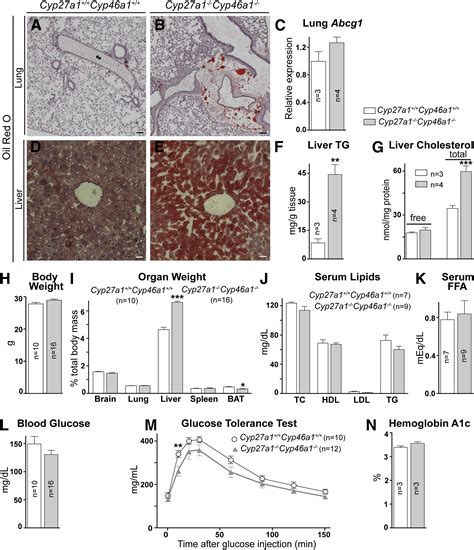 Retinal And Nonocular Abnormalities In Cyp27a1−−cyp46a1−− Mice With