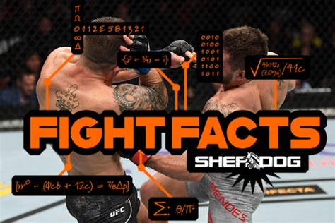 Fight Facts: UFC 232