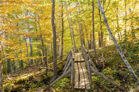 Premium Photo Beautiful Fall Colors Of Acadia National Park