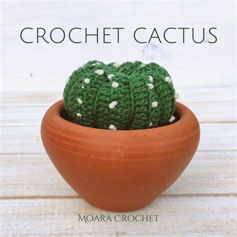 Crochet Cactus Pattern Photo And Youtube Tutorial Moara Crochet