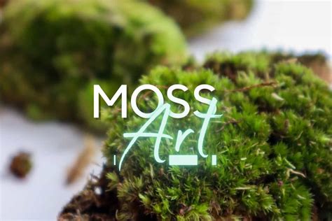 Moss Art Ideas - 5+ Walls, Mirrors & More (Live & Preserved)