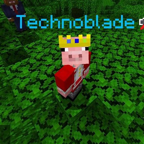 Sun R I P Technoblade On Twitter Rt Hourlytechno Technoblade