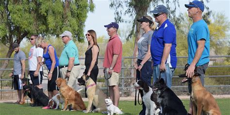 Phoenix Dog Training And Group Obedience Classes