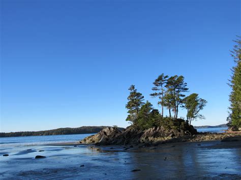 Off the beaten path in Tofino… Tonquin Beach Trail | MJ Explores