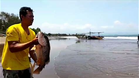 Rezeki Nomplok Dapat Ikan Besar Satu Jaring Penuh Nelayan Pada Senang