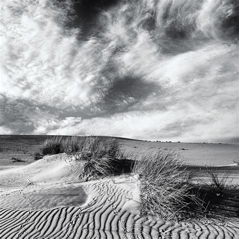 Curonian Spit Dunes Photograph by Ambro Fine Art - Pixels