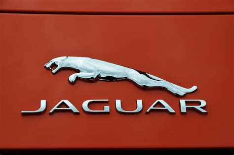 Jaguar F Type Logo Ii Autoherbst Bayreuth 2013 Flickr