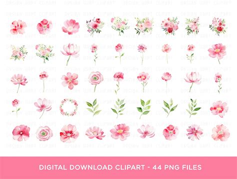 Watercolor Flowers Clipart Bundle Pink Floral Elements Etsy