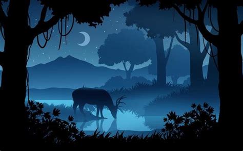 Night Forest Vector Art, Icons, and Graphics for Free Download