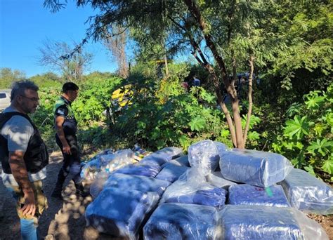 Operativo Lapacho Secuestran 400 Kilos De Hojas De Coca En Santiago