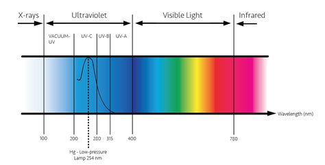 Frequently Questions About Uv Aging Test Xian Lib Environmental