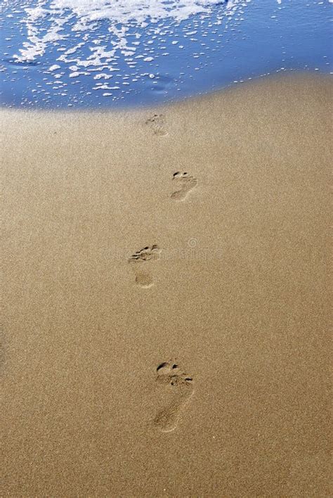 Empreintes De Pas Sur Une Plage Sablonneuse Photo Stock Image Du Pied