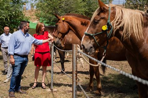 Penyeta Roja La Diputación de Castellón apoya el sector primario