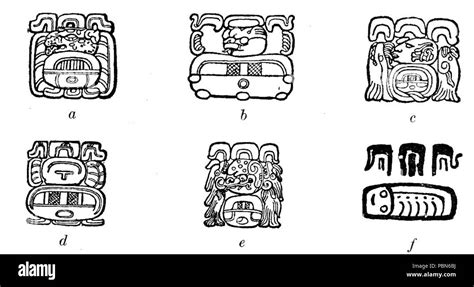 1009 Maya Hieroglyphs Fig 24 Stock Photo - Alamy