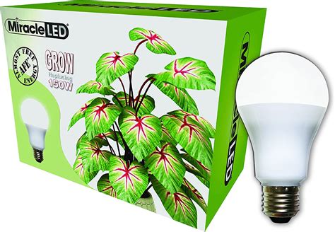 Amazon Miracle Led Almost Free Energy W Commercial Hydroponic