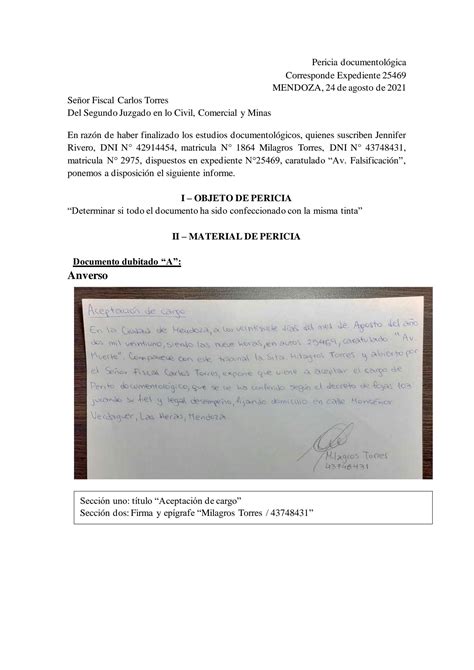 SOLUTION Ejemplo Informe Quimico Forense Tintas Studypool