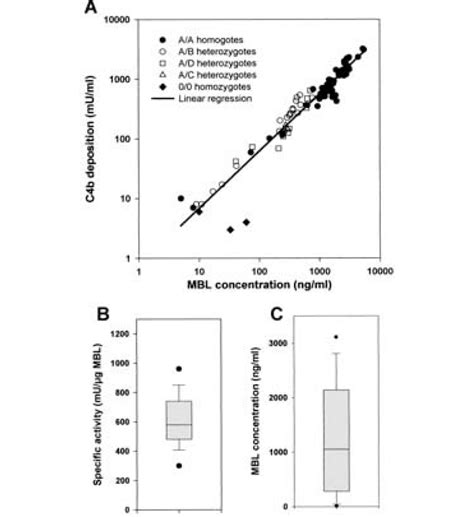 A The Relationship Between C4b Deposition Activity MU Ml And MBL