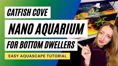 Catfish Cove Peaceful Nano Aquarium For Bottom Dwellers Easy