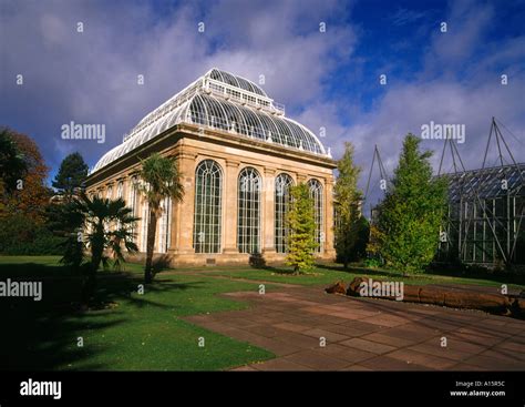 Dh Royal Botanic Garden Edinburgh Palm Tree Glasshouse Scottish