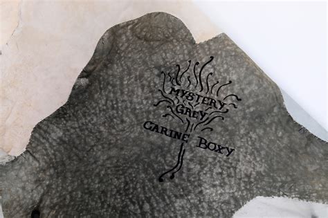 Carine Boxy Tapijt Mystery Grey Het Huis Van Wauw