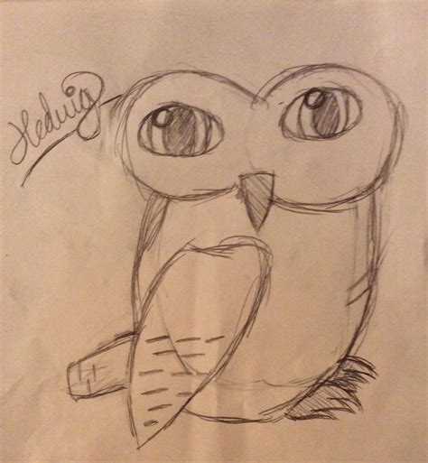 How To Draw Hedwig From Harry Potter B C Guides