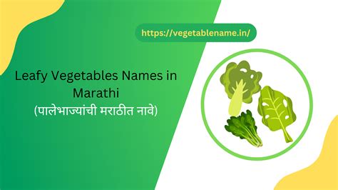 15+ Leafy Vegetables Names In Marathi | पालेभाज्यांची मराठीत नावे ...