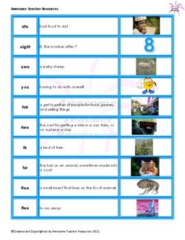 Echo Echo Homophones What Do They Mean Worksheet TPT