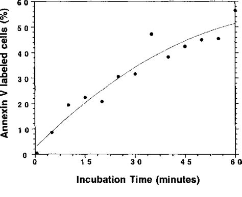 Figure 2 From Detection Of Altered Membrane Phospholipid Asymmetry In