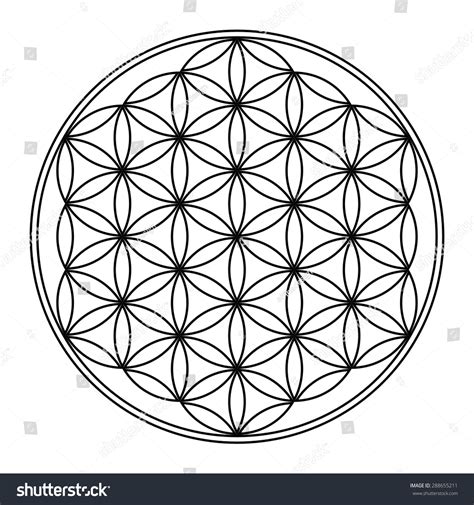 Flower Of Life Vector Image Gastky3