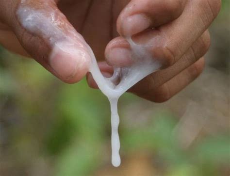 Penis Ejaculating In Vagina
