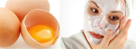 Clara De Ovo Para O Rosto - Máscara facial com clara de ovo - Encantos da Sil